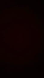 GEZOCHT: CARNAVAL SPELDJES-PINS, Verzenden