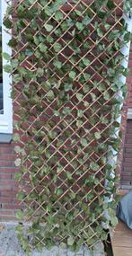 Kunst hedera trellis/balkon schutting., Tuin en Terras, Schuttingen, Ophalen, Minder dan 3 meter, Hout, 1 tot 2 meter