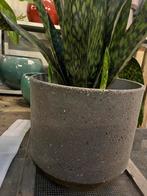 Grote betonnen pot, Tuin en Terras, Bloempotten, Ophalen, Zo goed als nieuw, Rond, Minder dan 25 cm