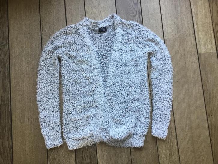 leuk vest maat 146/152, Kinderen en Baby's, Kinderkleding | Maat 146, Zo goed als nieuw, Meisje, Trui of Vest, Ophalen of Verzenden