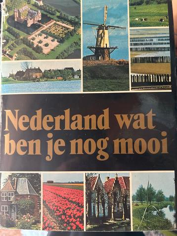 Nederland wat ben je nog mooi beschikbaar voor biedingen
