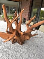 Prachtig stuk Kienhout / Driftwood / Spiderwood - Aquarium, Ophalen of Verzenden, Zo goed als nieuw, Plant(en), Steen of Hout
