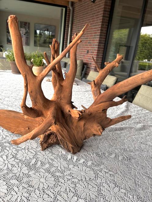 Prachtig stuk Kienhout / Driftwood / Spiderwood - Aquarium, Dieren en Toebehoren, Vissen | Aquaria en Toebehoren, Zo goed als nieuw