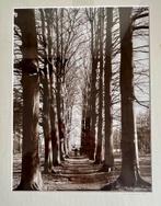 Ingelijste foto bomenlaan van Jaap Doornik uit Leiden, Ophalen