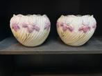 Twee vintage bloempotten met iris decoratie, Ophalen