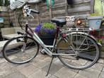 Koga dames fiets, 53 tot 56 cm, Versnellingen, Zo goed als nieuw, Ophalen
