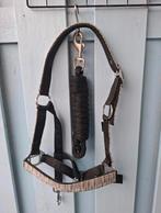 Halster pony, Dieren en Toebehoren, Ophalen, Zo goed als nieuw, Overige soorten