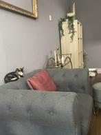 Poes, 0 tot 2 jaar
