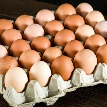 Veel scharrel eieren gezocht! beschikbaar voor biedingen