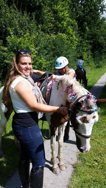 Pony verjaardag beschikbaar voor biedingen