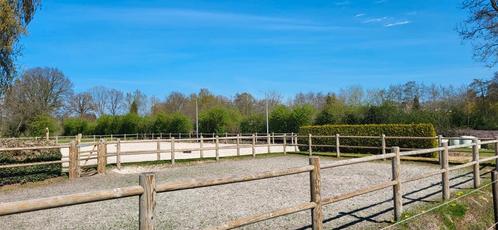 Stalling en weidegang voor pony's, prive, Dieren en Toebehoren, Stalling en Weidegang, Stalling, Weidegang