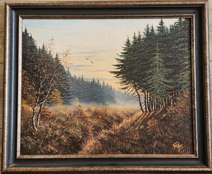 Boslandschap Olieverfschilderij 60x50, Antiek en Kunst, Kunst | Schilderijen | Klassiek, Ophalen