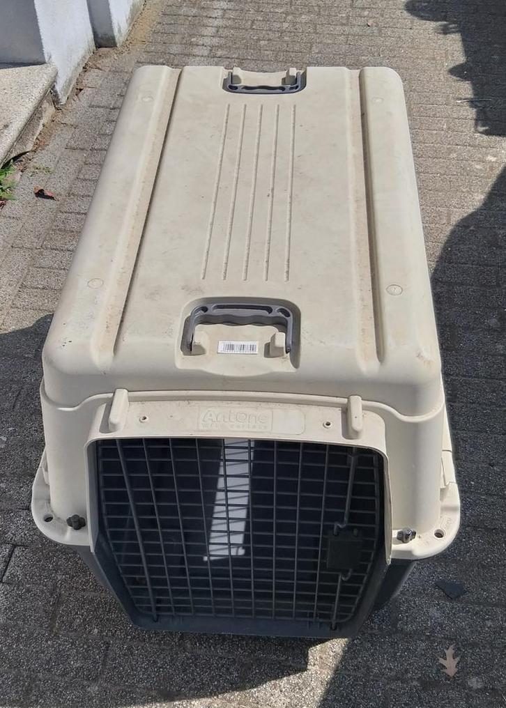 Transportbox - Transport box ( Bench ) voor hond, Dieren en Toebehoren, Transportboxen, Zo goed als nieuw, Ophalen