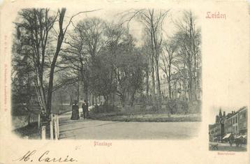 (304-207-049) Leiden Plantage beschikbaar voor biedingen