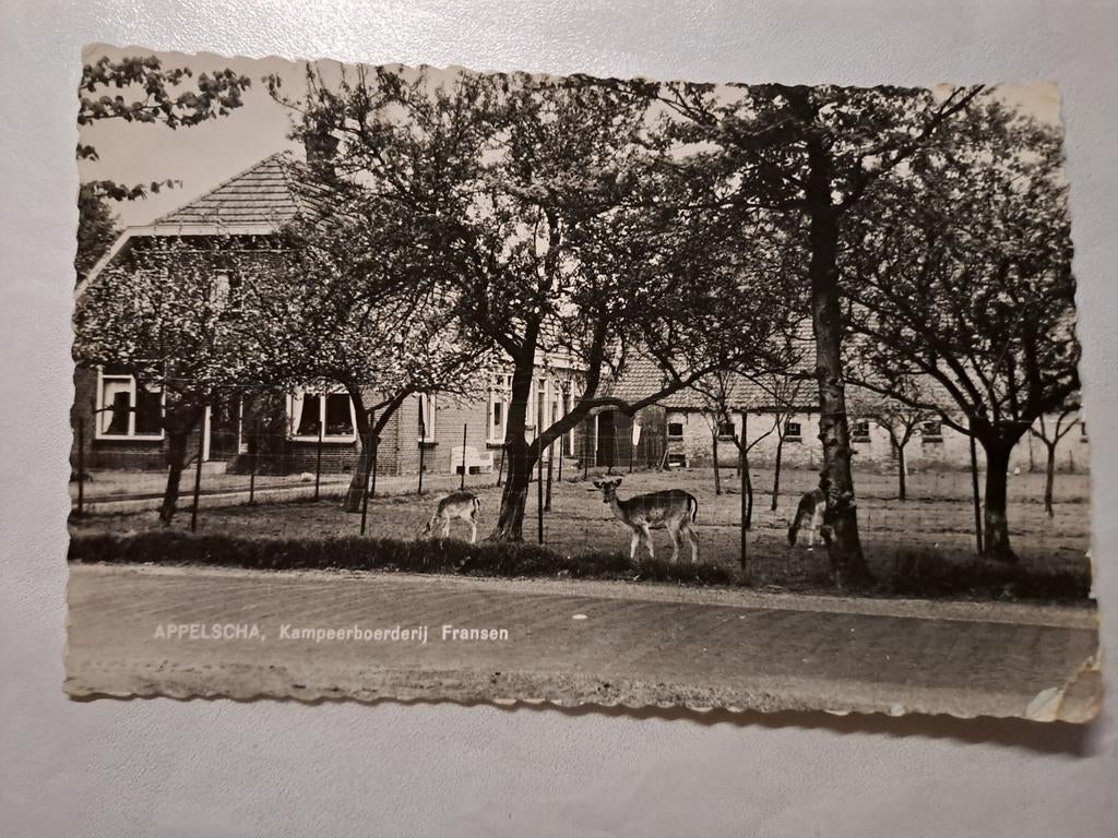 Appelscha, kampeerboerderij Fransen, Ophalen of Verzenden