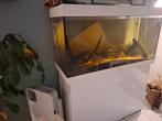 Aquarium z.g.a.n., Ophalen, Zo goed als nieuw, Leeg aquarium