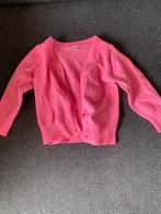 Rose vestje maat 68, Kinderen en Baby's, Ophalen of Verzenden, Gebruikt, Meisje, Truitje of Vestje