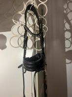 Hoofdstel maat Cob, Ophalen of Verzenden, Gebruikt, Dressuur