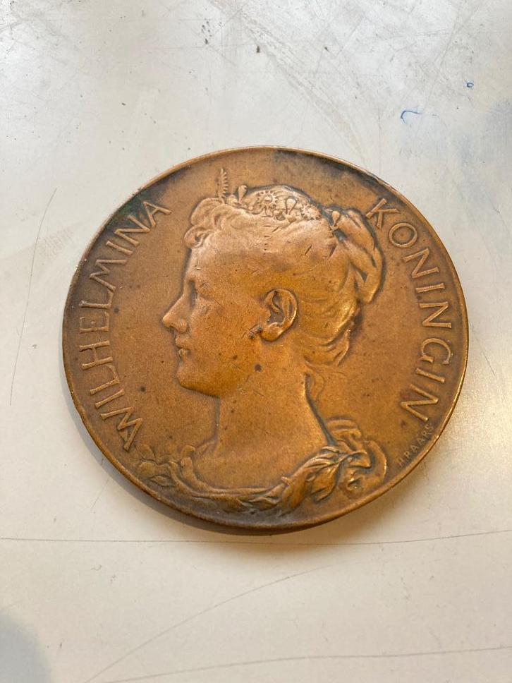 Zeldzame Wilhelmina munt penning 1923 6,5 cm diameter brons, Postzegels en Munten, Penningen en Medailles, Brons, Nederland, Ophalen of Verzenden