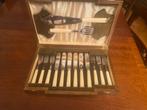 6 pers EPNS verzilverd visbestek + opdienbestek in kist, Antiek en Kunst, Antiek | Bestek, Ophalen of Verzenden