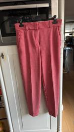 Vanilia prachtige zgan pantalon maat 38, Kleding | Dames, Broeken en Pantalons, Maat 38/40 (M), Vanilia, Ophalen of Verzenden