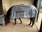 Te koop: bucas buzz off classic, Dieren en Toebehoren, Ophalen of Verzenden, Zo goed als nieuw