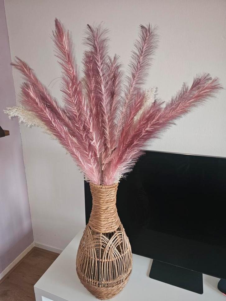 Rieten vaas met kunstvarens, Huis en Inrichting, Woonaccessoires | Droogbloemen, Zo goed als nieuw, Ophalen