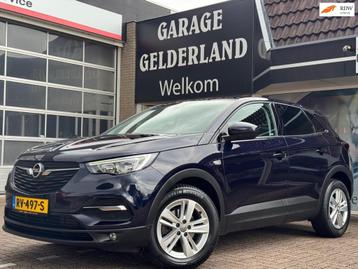 Opel Grandland X 1.2 Turbo Business Executive| Full-Led | Ap beschikbaar voor biedingen