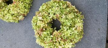 Hortensiakrans krans hortensia's pluimhortensia  beschikbaar voor biedingen