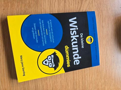 Mary Jane Sterling - De kleine wiskunde voor Dummies, Boeken, Wetenschap, Zo goed als nieuw, Ophalen of Verzenden