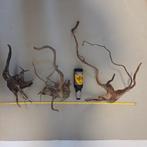 Verschillende stukken spiderwood, Dieren en Toebehoren, Vissen | Aquaria en Toebehoren, Ophalen, Gebruikt, Plant(en), Steen of Hout