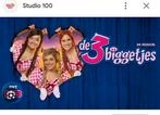 K3 de 3 biggetjes theatervoorstelling Harmonie Leeuwarden, Tickets en Kaartjes, Juni, Twee personen, Pop