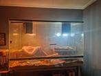 Baardagaam met alle toebehoren, Dieren en Toebehoren, Reptielen en Amfibieën | Toebehoren, Ophalen, Zo goed als nieuw, Terrarium of Paludarium