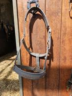 Eskadron halster grijs met rosé gold., Dieren en Toebehoren, Paarden en Pony's | Hoofdstellen en Tuigage, Ophalen of Verzenden