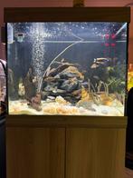 Juwel LIDO 200, Dieren en Toebehoren, Vissen | Aquaria en Toebehoren, Ophalen, Zo goed als nieuw, Leeg aquarium