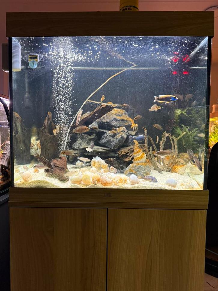 Juwel LIDO 200, Dieren en Toebehoren, Vissen | Aquaria en Toebehoren, Zo goed als nieuw, Leeg aquarium, Ophalen