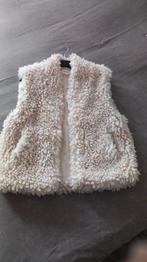 Bodywarmer / Nieuw !!!!, Kleding | Dames, Bodywarmers, Ophalen of Verzenden