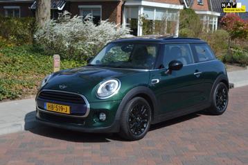 Mini Mini 1.5 Cooper D 1ste eig/Org NL/NAP/Panorama beschikbaar voor biedingen