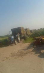 Mooi kleihooi, Dieren en Toebehoren, Ophalen, Vee