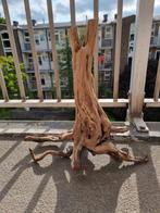 Aquarium hout groot, Dieren en Toebehoren, Vissen | Aquaria en Toebehoren, Ophalen, Zo goed als nieuw, Plant(en), Steen of Hout