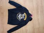 Harry potter truien mt 146/152, Kinderen en Baby's, Kinderkleding | Maat 146, Ophalen of Verzenden, Nieuw, Jongen, Trui of Vest