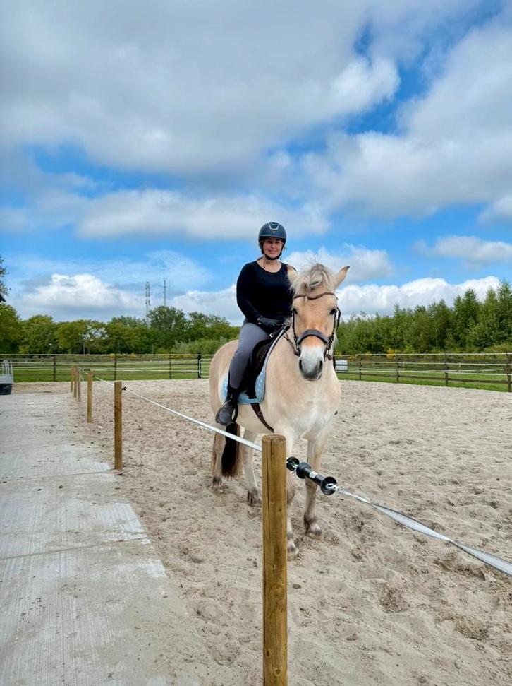 Bijrijder gezocht voor Yaro! 16+, Dieren en Toebehoren, Pony's, Ruin, E pony (1.48m - 1.57m), Recreatiepony, 3 tot 6 jaar