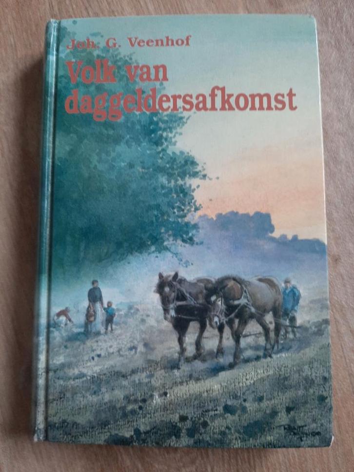 Volk van Daggeldersafkomst - Joh. G. Veenhof, Boeken, Streekboeken en Streekromans, Gelezen, Utrecht, Ophalen of Verzenden