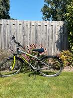 Jongensfiets Pegasus Avanti 3-26 38 inch, Gebruikt, Pegasus, Handrem, Ophalen