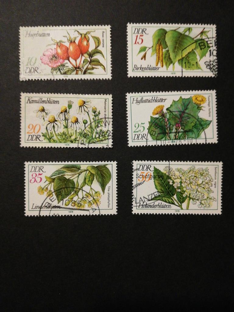 DDR 1978 Michel 2287 tm 2292 compleet, Ophalen of Verzenden, DDR