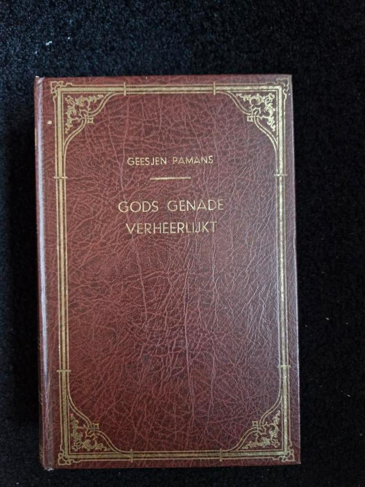 Gods genade verheerlijkt Geesjen Pamans, Boeken, Godsdienst en Theologie, Zo goed als nieuw, Christendom | Protestants, Ophalen of Verzenden