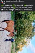 Lessen in natural horsemanship, Ophalen, Nieuw, Overige soorten