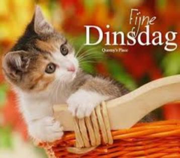 Pandora * ECHT * ORIGINEEL * armband / ketting / bedels *  beschikbaar voor biedingen