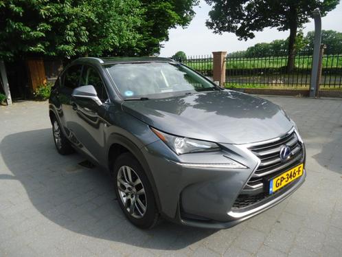 Lexus NX 300H 2.5 E-cvt  2015 Grijs, Auto's, Lexus, Bedrijf, NX, 4x4, ABS, Achteruitrijcamera, Adaptive Cruise Control, Airbags