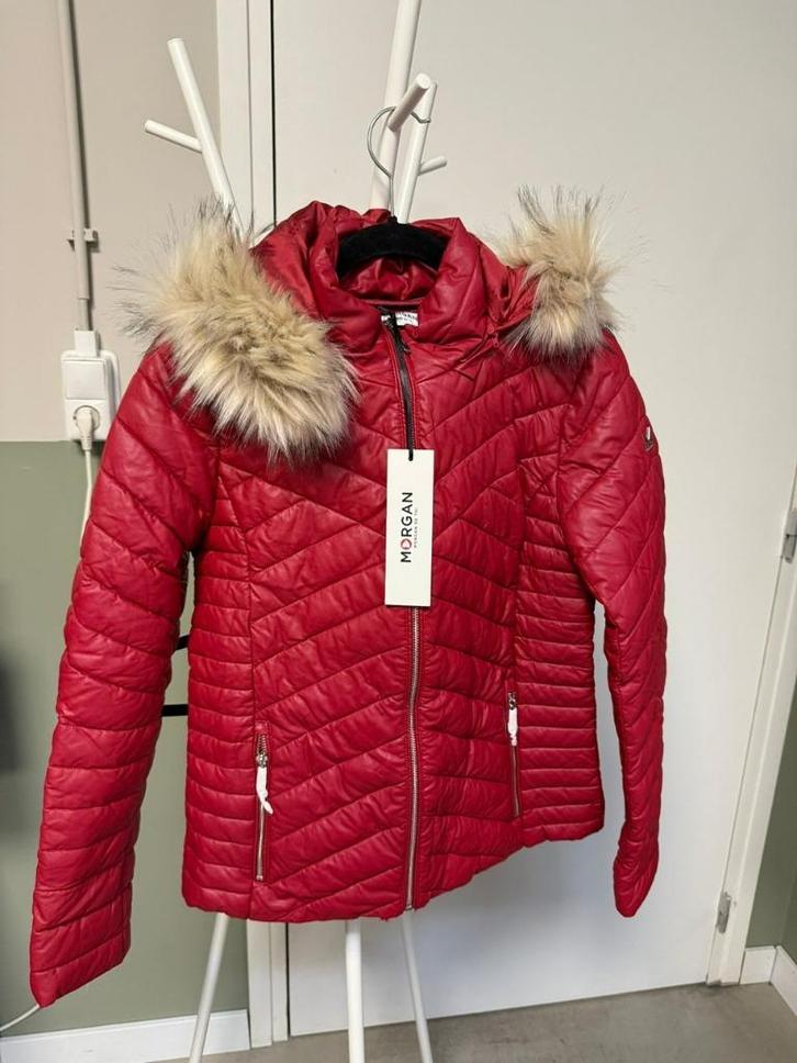 Rode Morgan jas maat M, chique & nieuw, Kleding | Dames, Jassen | Winter, Nieuw, Maat 38/40 (M), Rood, Ophalen of Verzenden